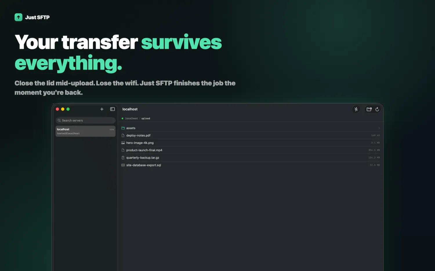 Just SFTP connected to a server, listing an upload directory with a PDF, a 4K image, a video, an archive and a database dump, beside a sidebar of saved servers.
